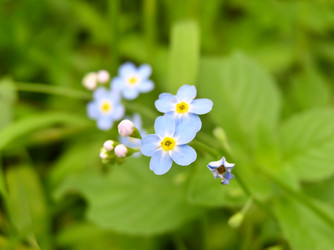 Similar image 482165