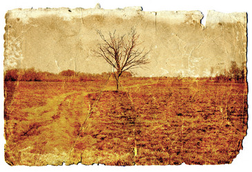 Similar image 482171