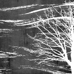 Similar image 482184