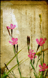 Similar image 482190