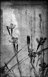 Similar image 482193