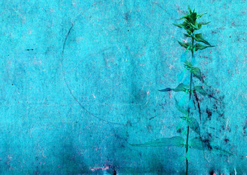 Similar image 482195