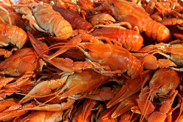 Similar image 482217