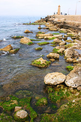 Similar image 482229