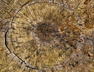 Similar image 482232