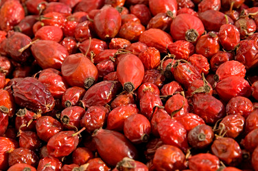 Similar image 482236