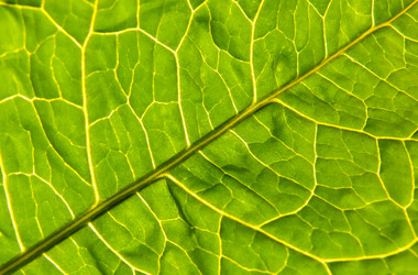 Similar image 482258