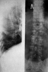 Similar image 482264