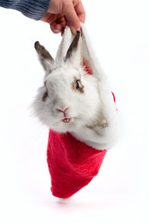 Similar image 482343