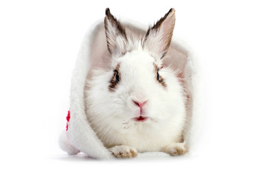 Similar image 482348