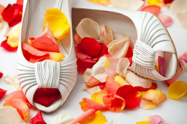 Similar image 482371