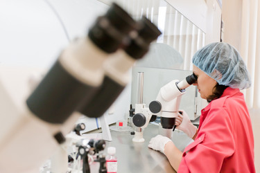 Similar image 482400