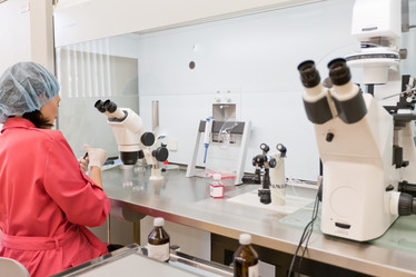 Similar image 482401