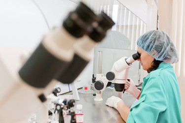 Similar image 482404