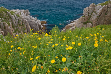 Similar image 482410