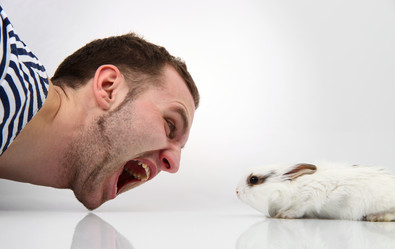 Similar image 482453