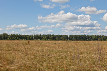 Similar image 482467