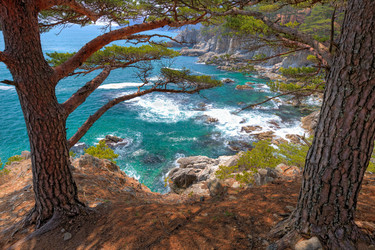 Similar image 482475