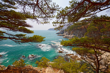 Similar image 482476