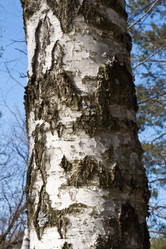 Similar image 482477