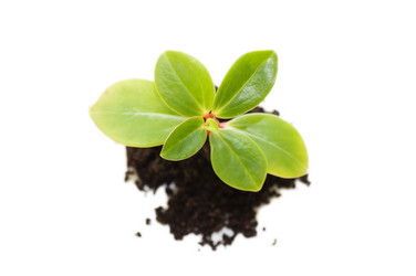 Similar image 482662