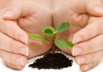 Similar image 482664