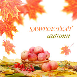 Similar image 482725