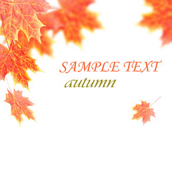 Similar image 482726