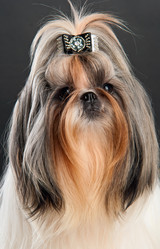 Similar image 482734