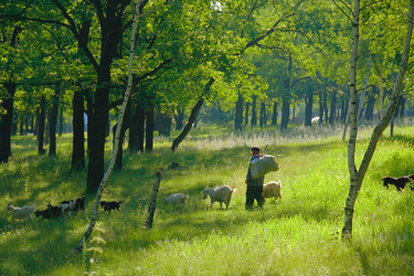 Similar image 482745