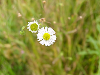 Similar image 482749