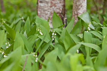 Similar image 482752