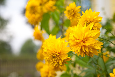 Similar image 482757