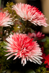 Similar image 482758