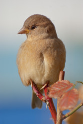 Similar image 482774