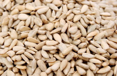 Similar image 482778