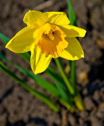 Similar image 482857