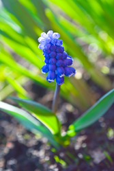 Similar image 482858