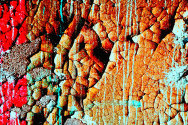 Similar image 482913