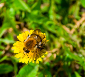 Similar image 482914