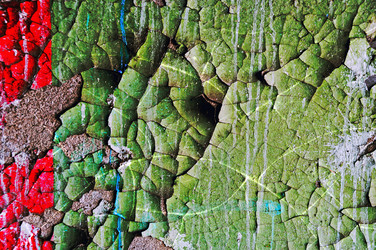 Similar image 482916