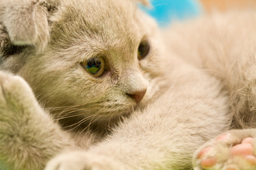 Similar image 483066