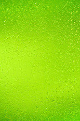 Similar image 483104