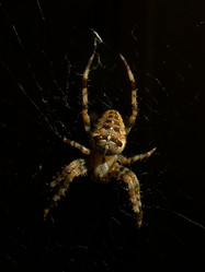 Similar image 483138