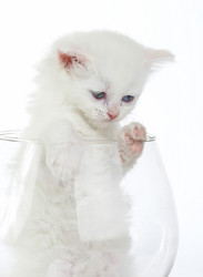 Similar image 483221