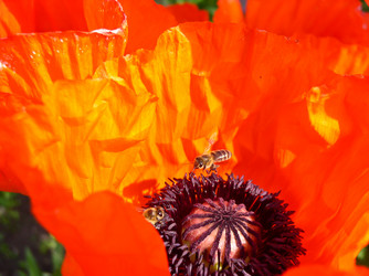 Similar image 483296