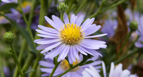 Similar image 483307