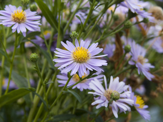 Similar image 483311