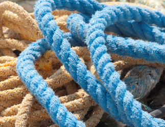 Similar image 483350