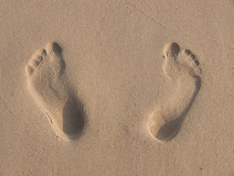 Similar image 483351